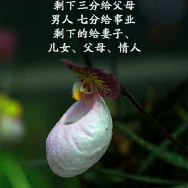 阿文176808653头像
