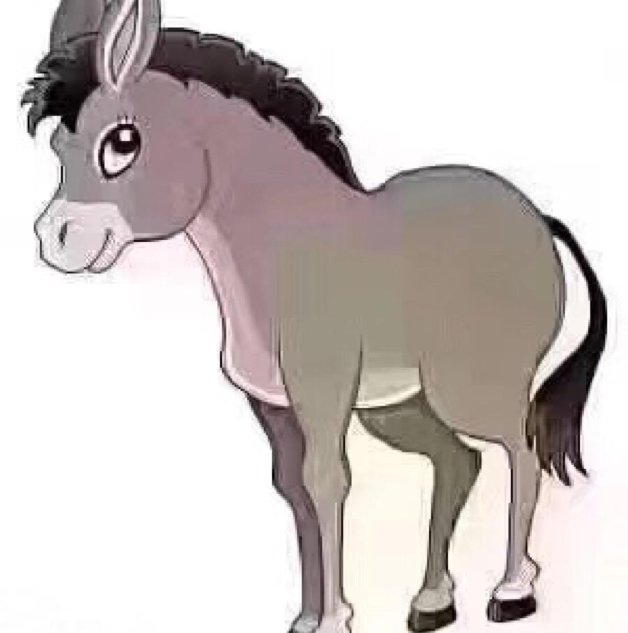 驴为什么这么倔头像