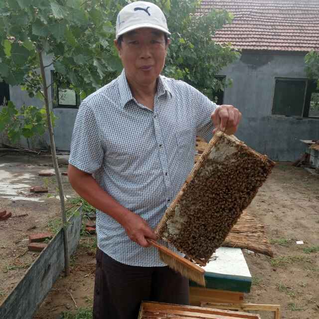 泗水养蜂人头像