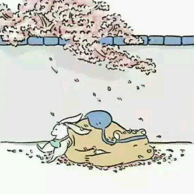 每日精彩头像