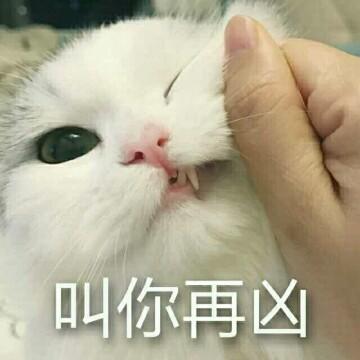 抽死你个兔崽子