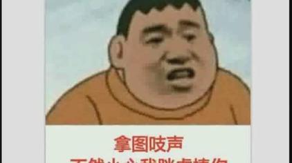 快手胖虎的头像 西瓜视频