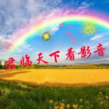 君临天下看影音头像