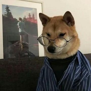 滞箬头像