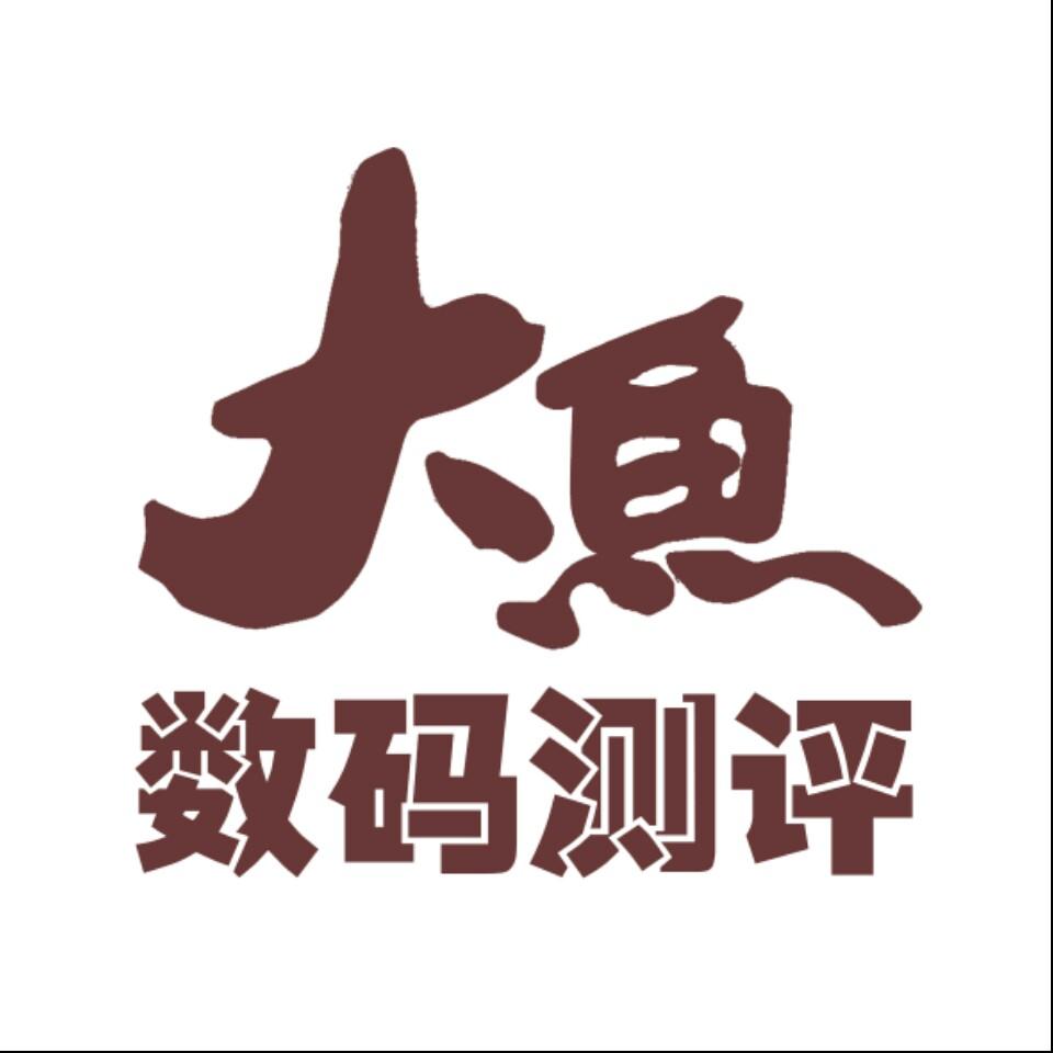 大鱼数码测评头像