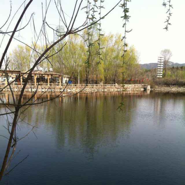 好运相伴156501048头像