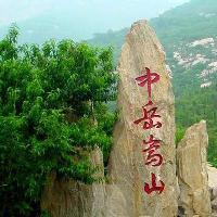 环游个球头像