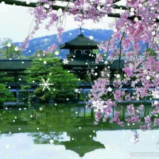 四叶草162232630头像