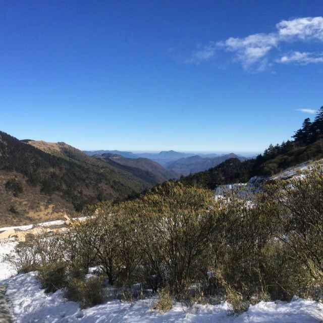 明月清風211頭像