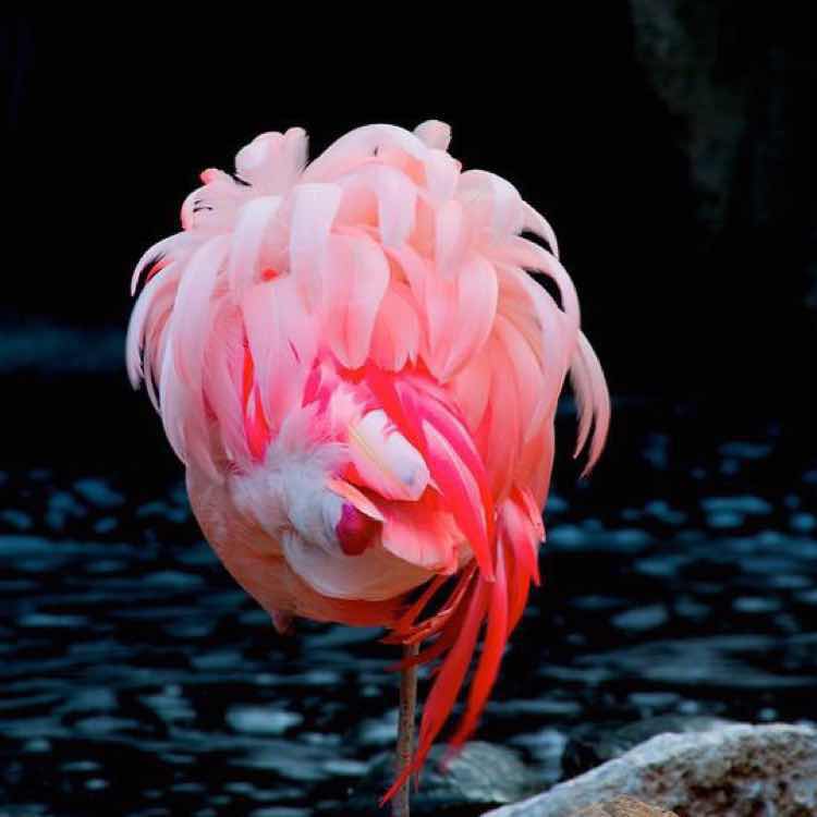 海洋158877557头像