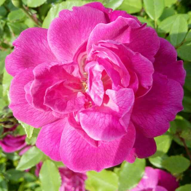 冰姐159457044头像