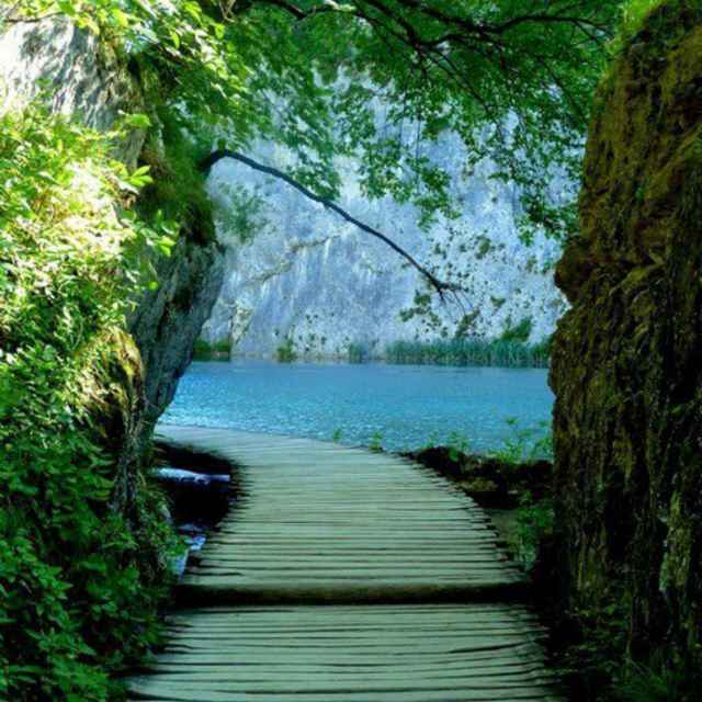 岁月静好96590111头像