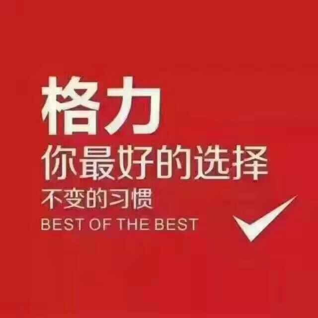 六安格力空调头像