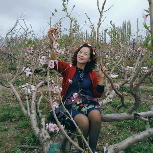 熏衣草的味道杨蕊铭