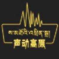 声动高原头像