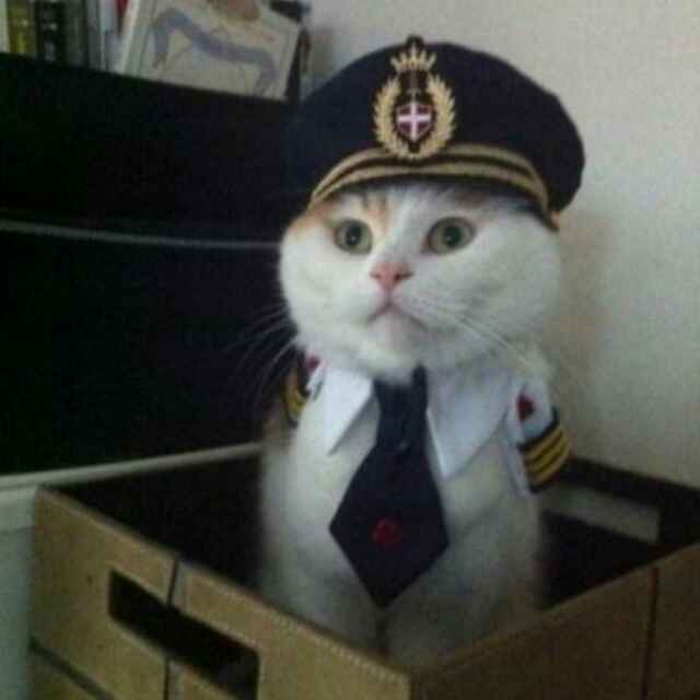 狂奔的菜鸟64968417头像