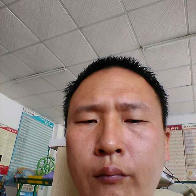 郑伟86282846头像