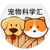 宠物科学汇头像