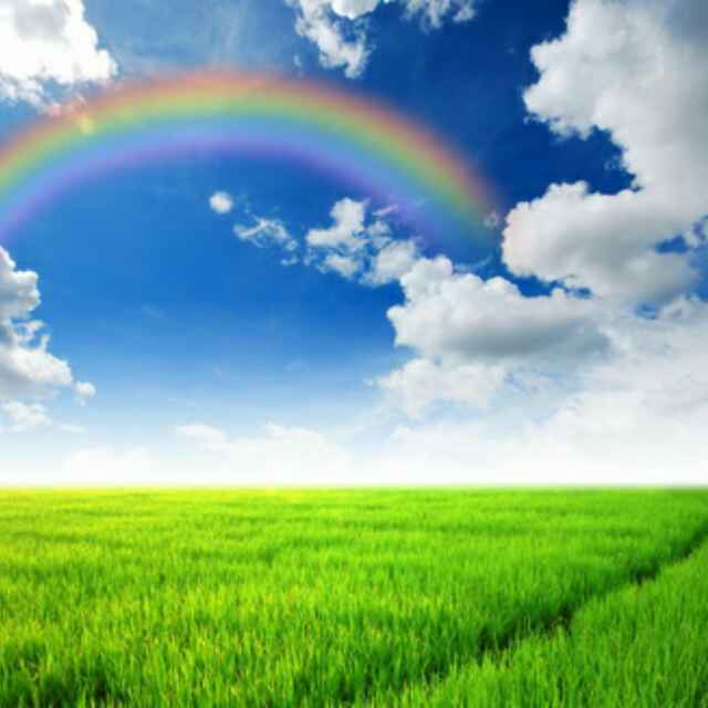 风雨彩虹145825209头像