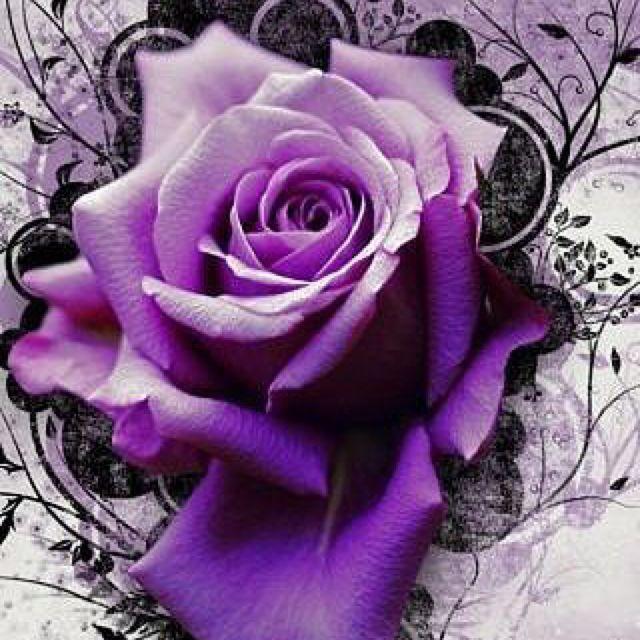 紫色蔷175540195头像