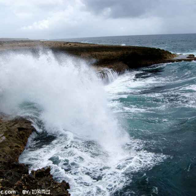 沧海横流72668491头像