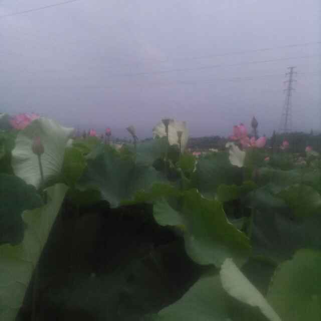 封存记忆179365497头像