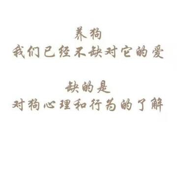 生活小天头像
