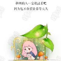 晓晓音频与小说头像
