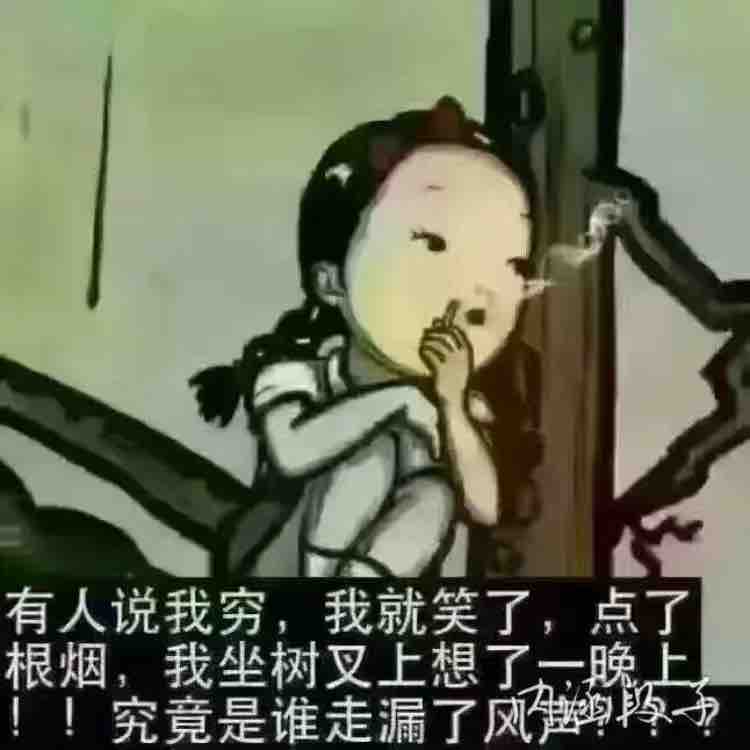 歼二万头像