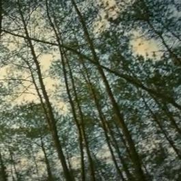 小泰山的爱情头像