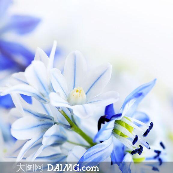 麦穗208321299头像