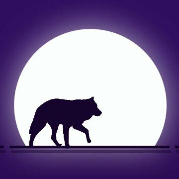 狼若回头不是吃肉就是头像