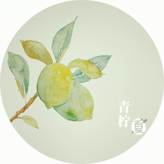 青柠夏沫头像