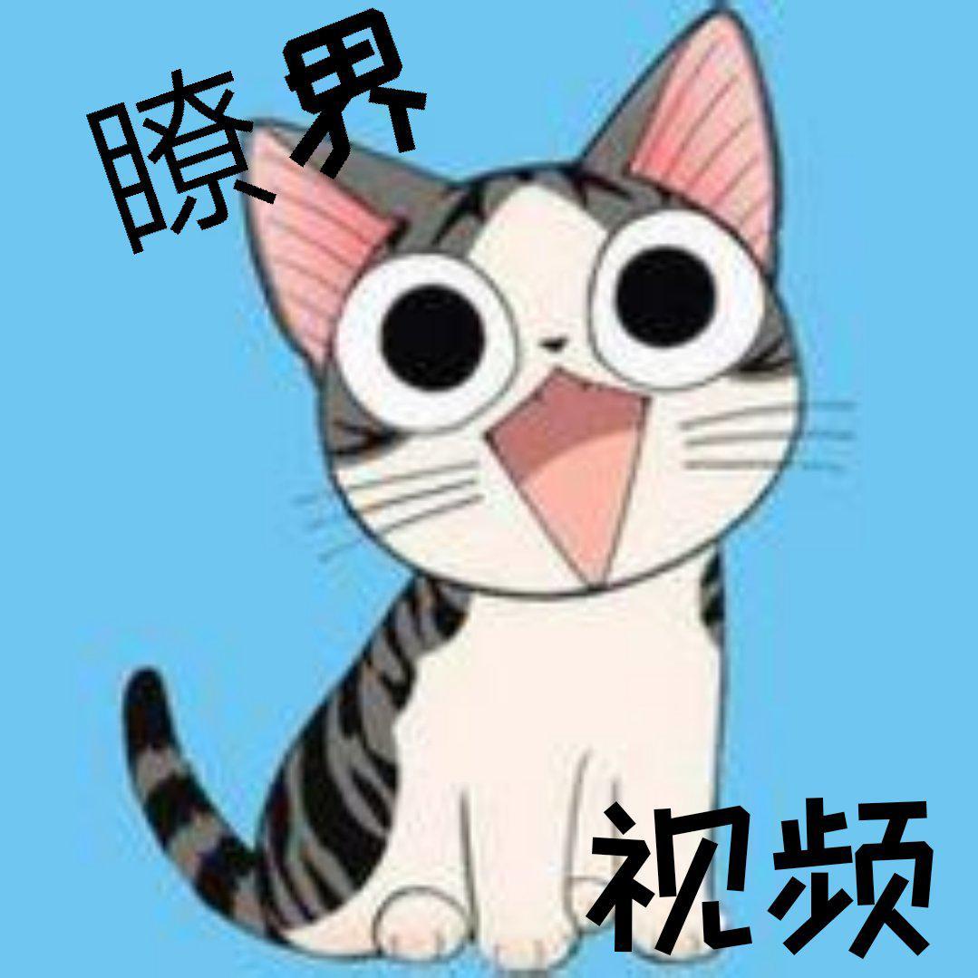 瞭界视频头像