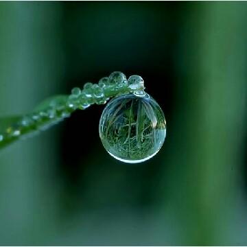 雨滴