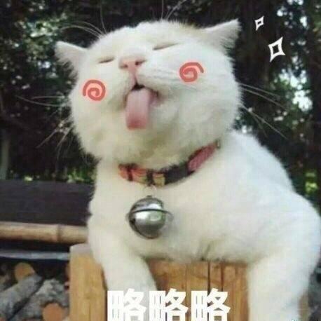 搞笑的江熊猫头像