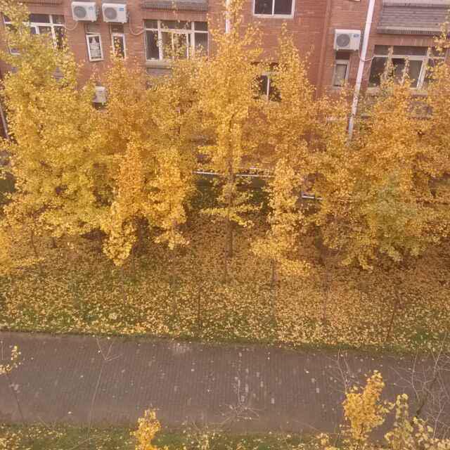 热爱life头像
