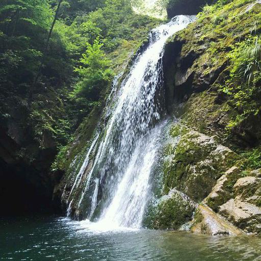 爱旅游的暖气老哥头像