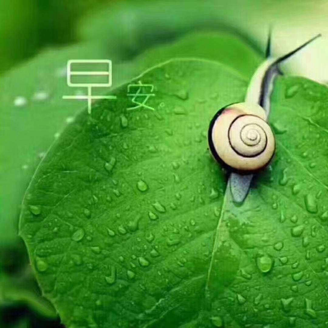 梅梅的店铺头像