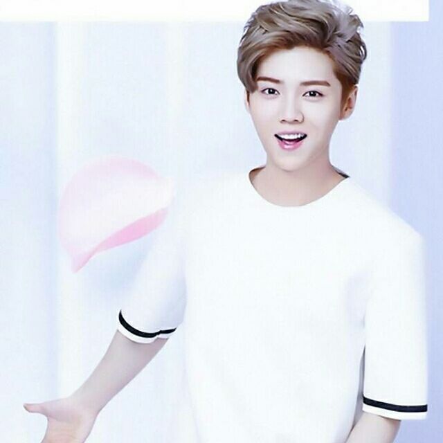 晗着泪一鹿向前1228784364头像