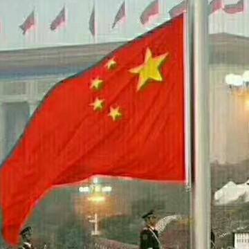 洒脱柑桔3dV头像
