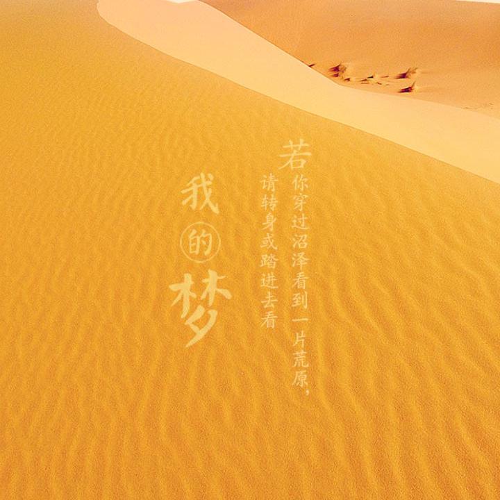 疯狂的沙漠头像