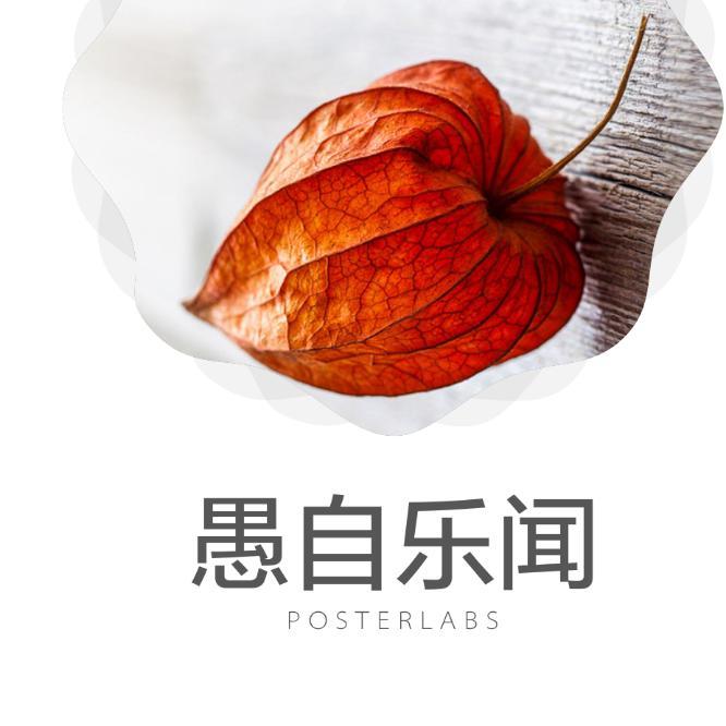 愚自乐闻头像