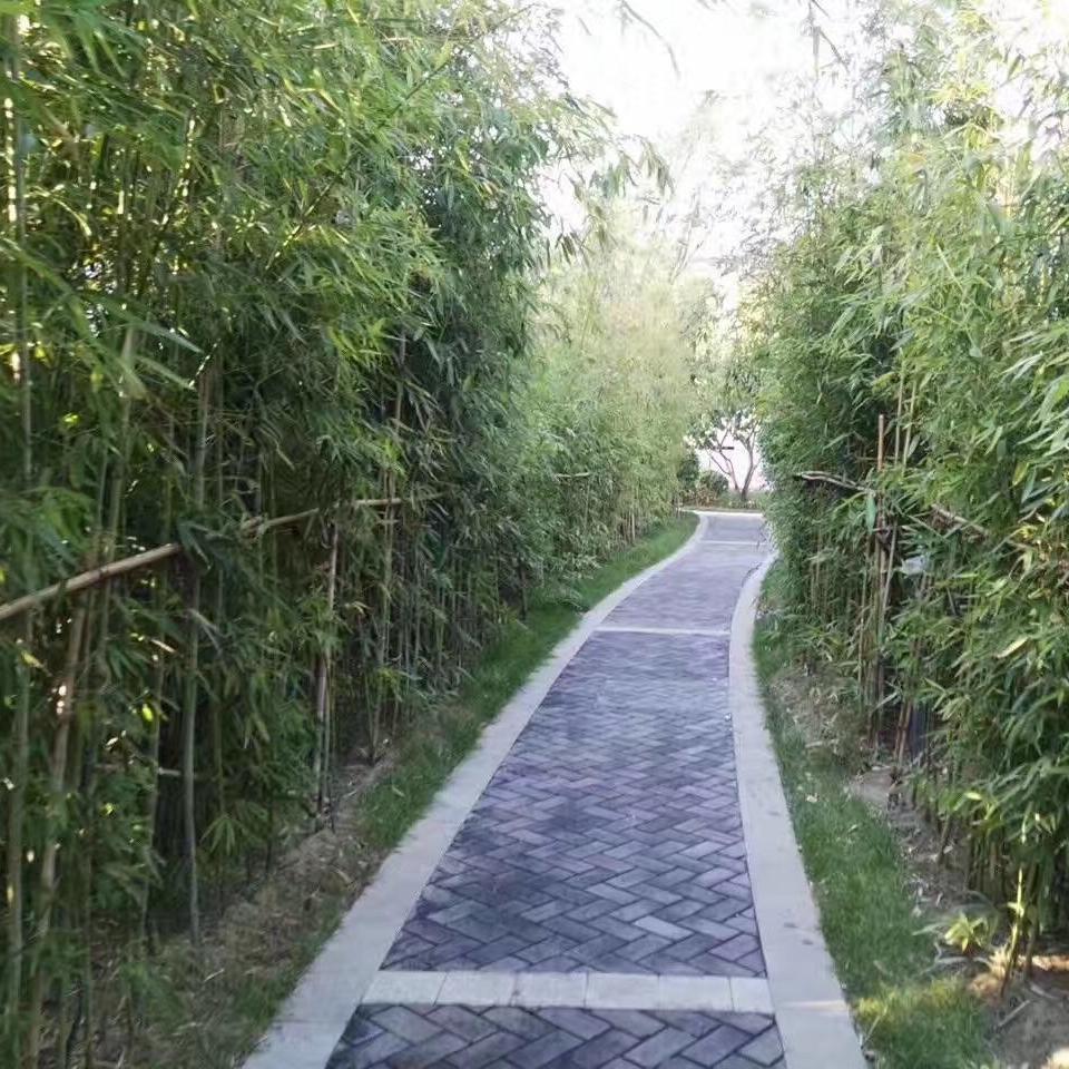 微笑的小龙头像