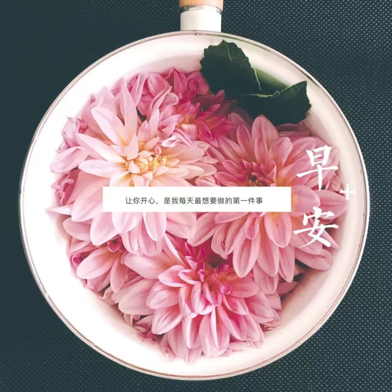 我叫沈玉梅头像