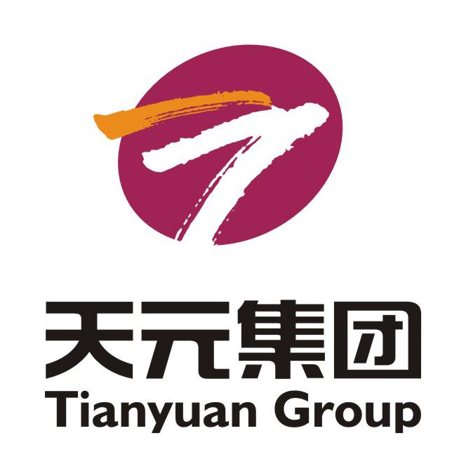 天元集团