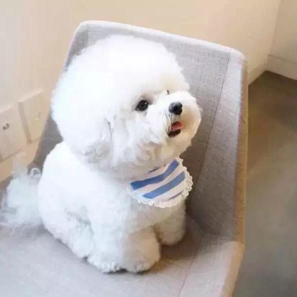 小七小七七头像