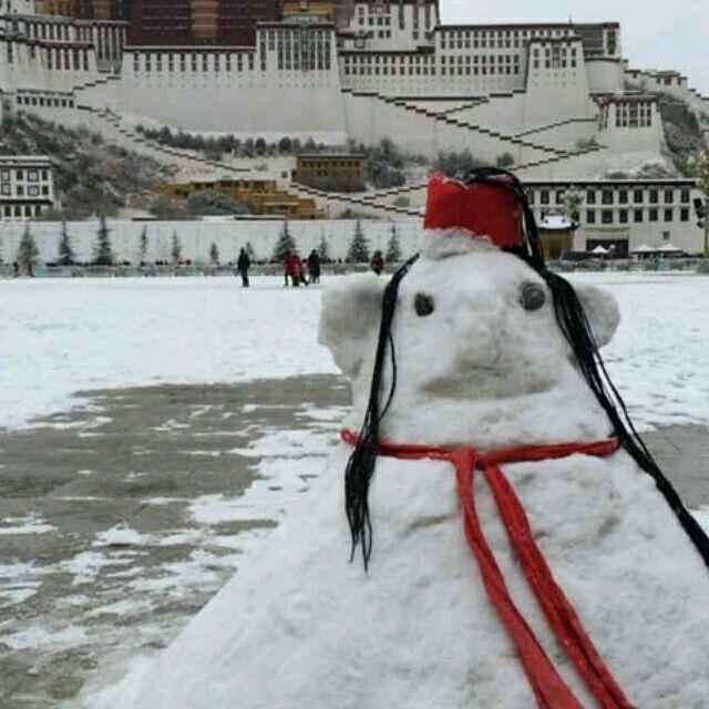 王慧琴家长头像