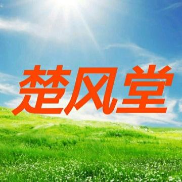 朴实画板fs头像