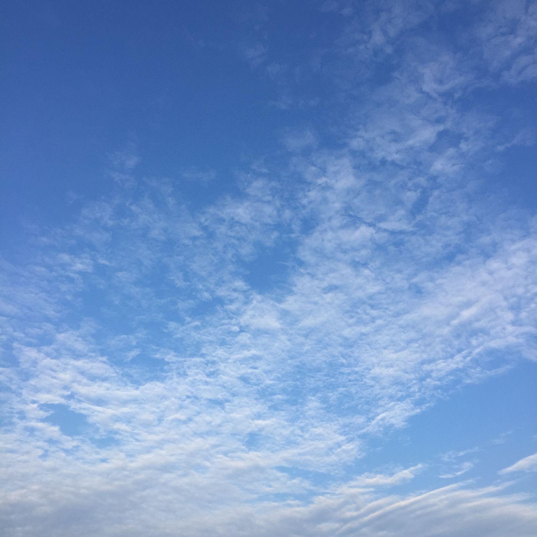 张龙岗头像